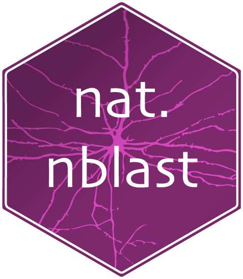 tidyverse hex sticker